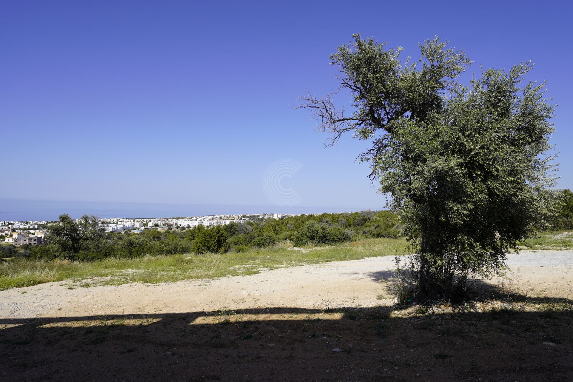 sun-valley-rose-jihanara (5)