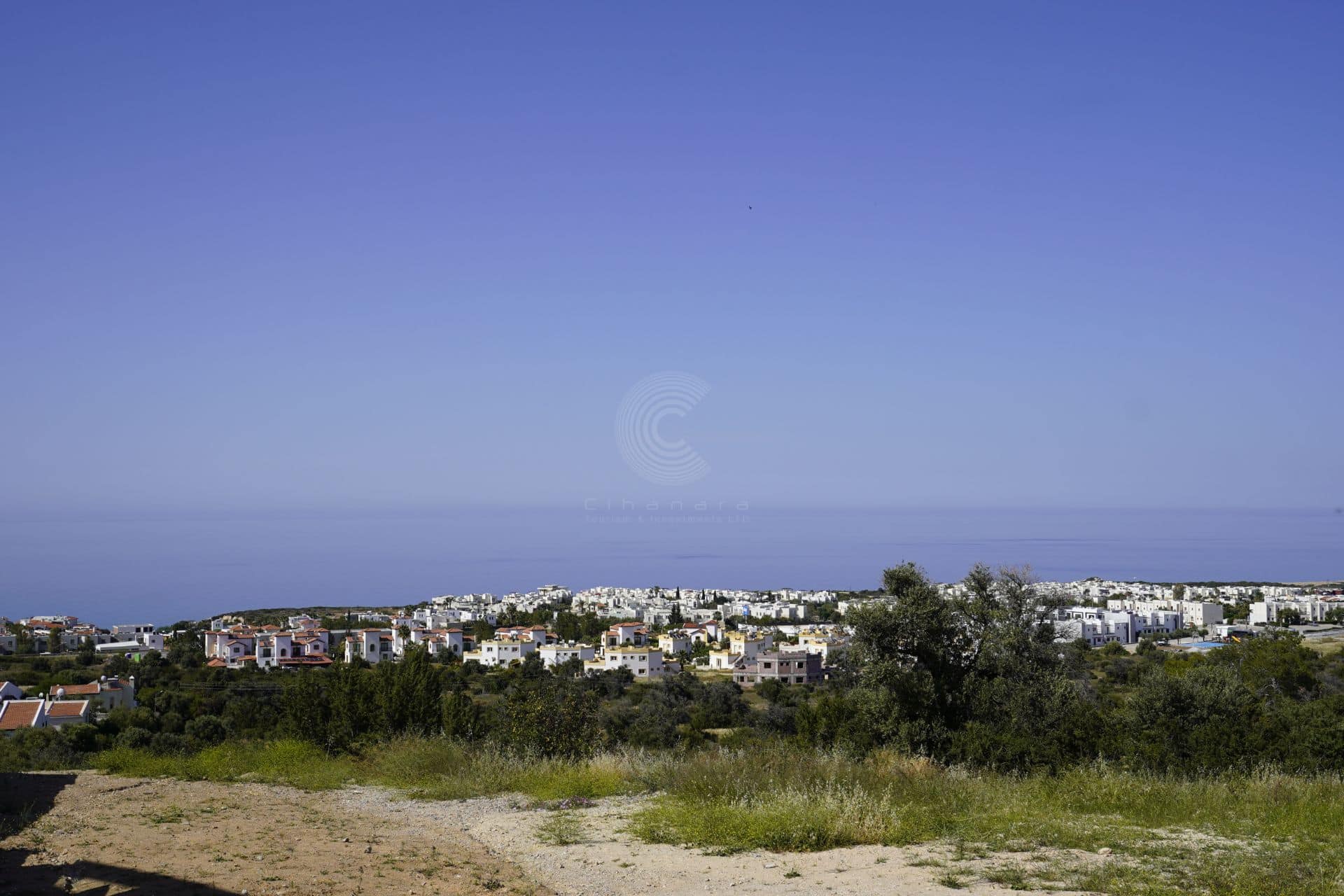 sun-valley-rose-jihanara (8)